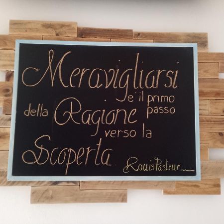 Albergo Medusa Punta Marina Kültér fotó